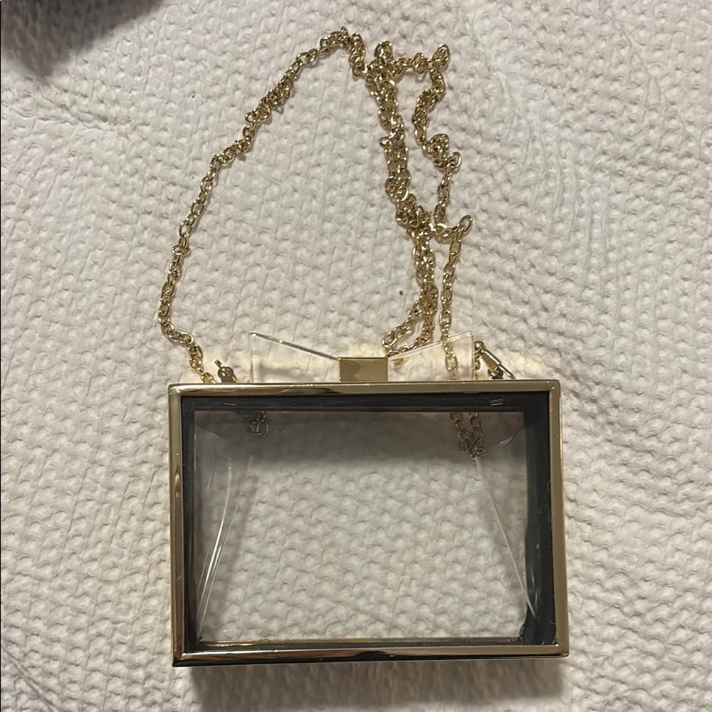 Lucite Bow Clutch